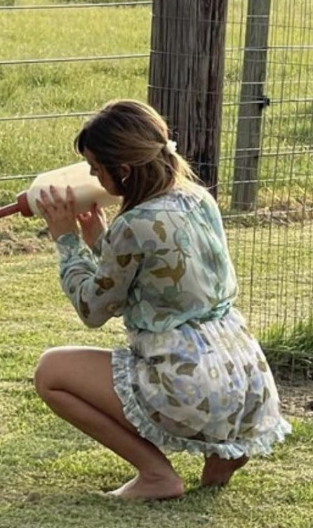 Addison Rae Squatting In Seethrough Dress  nude photo