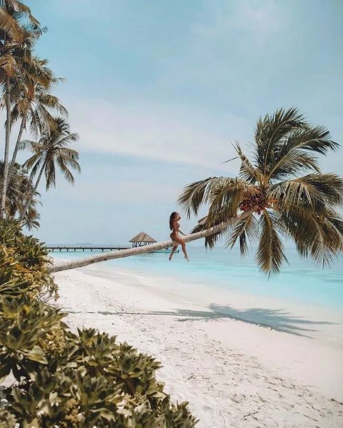 Adele Grisoni  nude photo