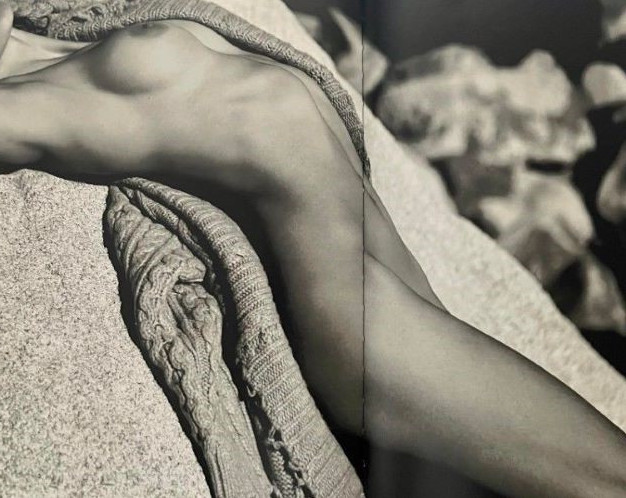 Alessandra Ambrosio  nude photo