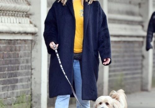 Alice Eve Walking Her Cute Dog  nude photo