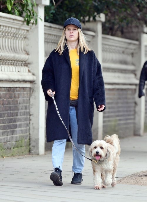 Alice Eve Walking Her Cute Dog  nude photo