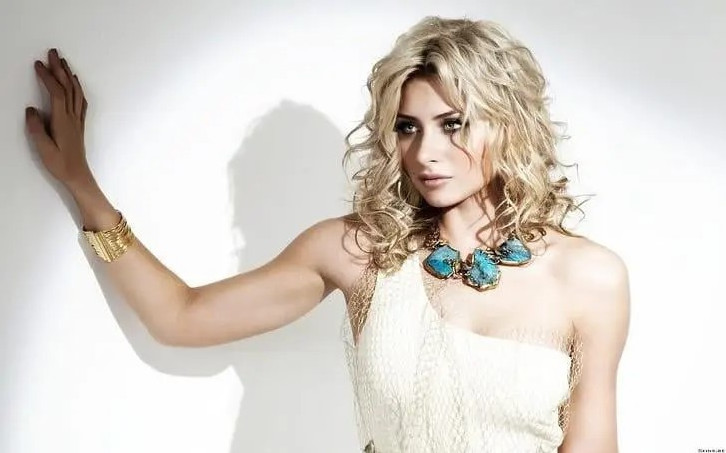 Aly Michalka  nude photo