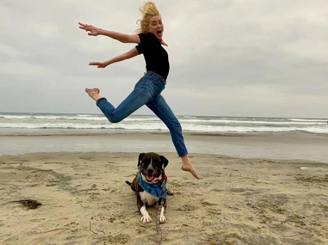 Amber Heard Flying Over A Dog  nude photo