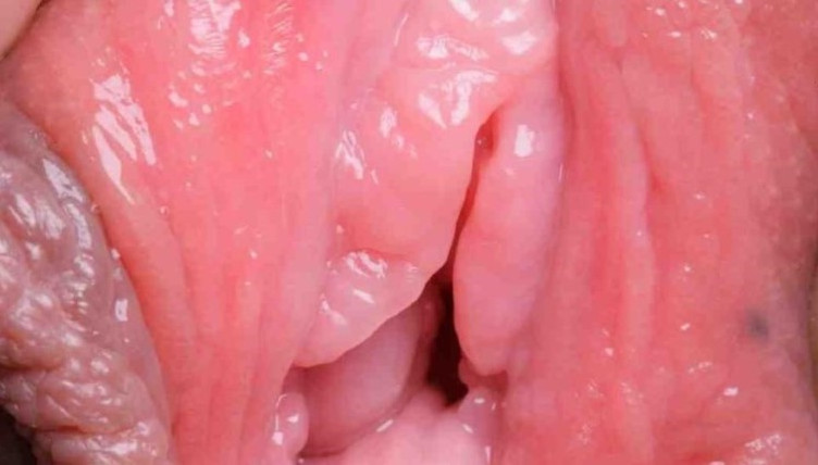 Angelina Jolie Porn Tube  nude photo