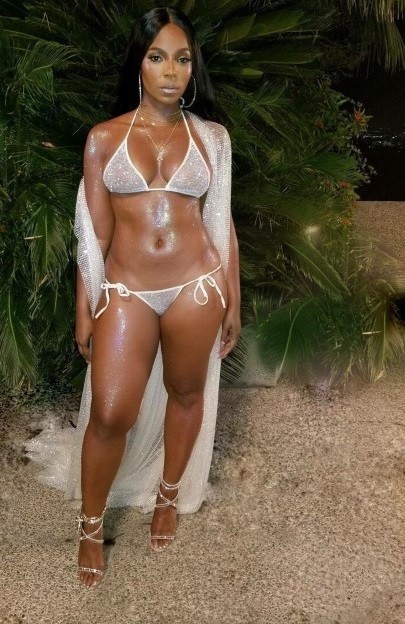 Ashanti Bikini Hot Tits  nude photo