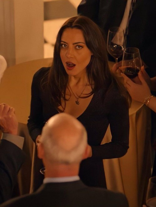 Aubrey Plaza Giving You The Look  nude photo