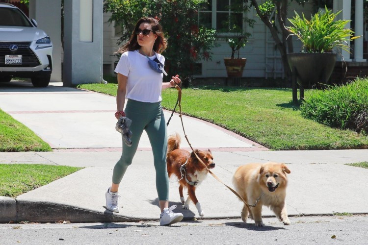 Aubrey Plaza Out And About Walking Her Dogs  nude photo