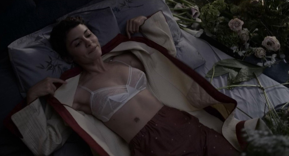 Audrey Tautou Nipples See Through  nude photo