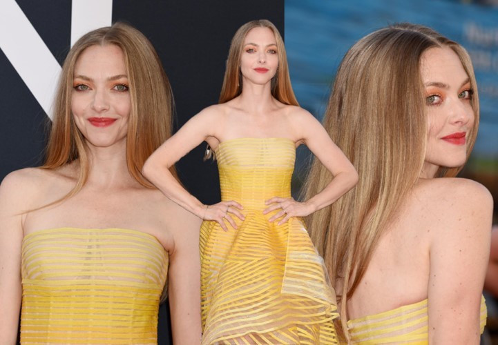 Beauty Amanda Seyfried  nude photo