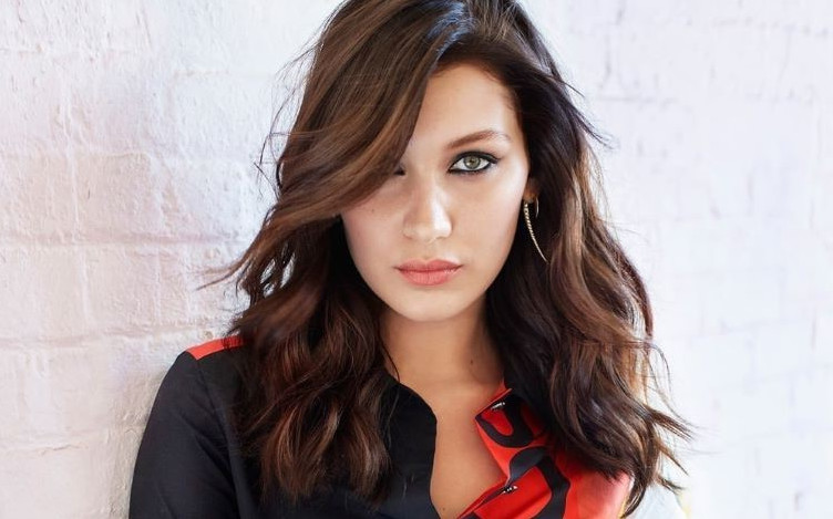 Bella Hadid  nude photo