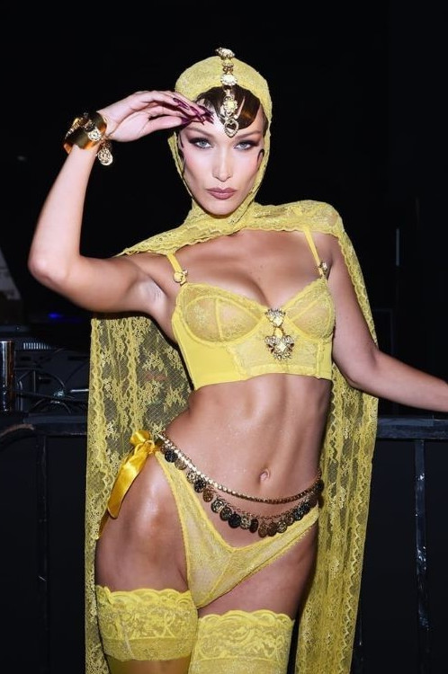 Bella Hadid Cameltoe  nude photo