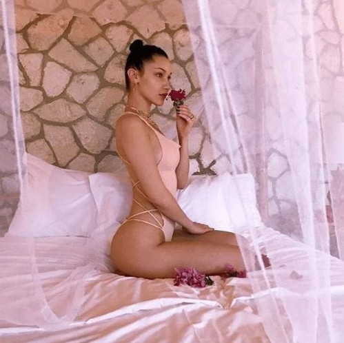 Bella Hadid Sexy  nude photo