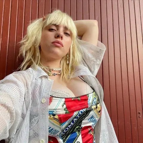 Billie Eilish Nude Large Boobs Sexy Cleavage  nude photo