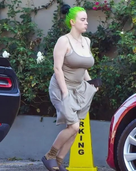 Billie Eilish Rp Anyone  nude photo