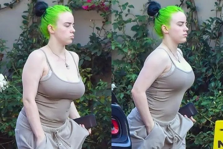 Billie Eilish Tits Are Huge  nude photo