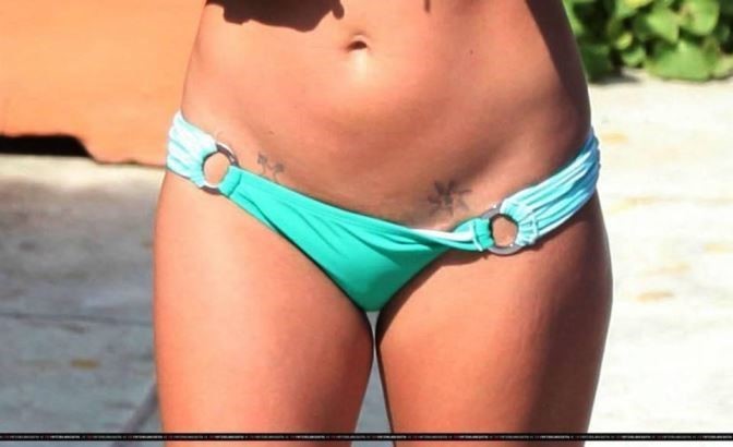 Britney Spears Bikini Ass Nude  nude photo