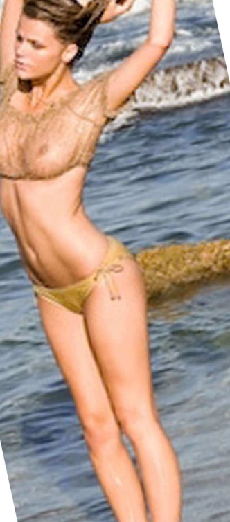 Brooklyn Decker Nude Leaks  nude photo