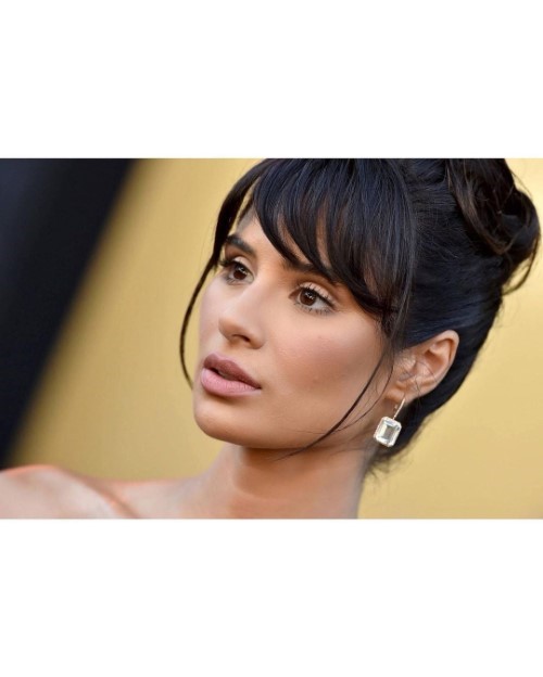 Diane Guerrero Respect Movie Premiere 2  nude photo