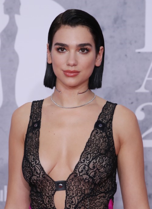 Dua Lipa Beauty Appreciation 0  nude photo