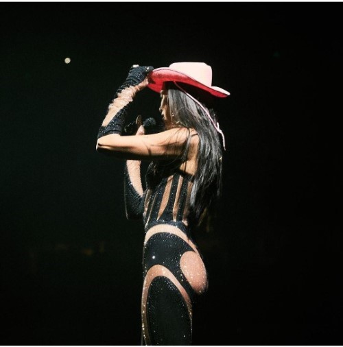 Dua Lipa Cowgirl  nude photo