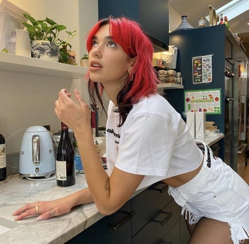 Dua Lipa I Forgot She Had Red Hair Recently  nude photo