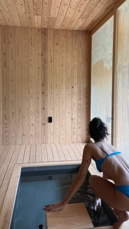 Dua Lipa Indoor Pool Time  nude photo