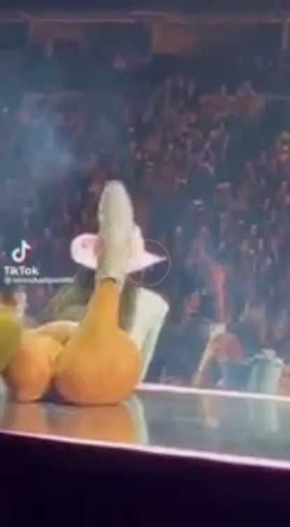 Dua Lipa Tumblr Sexy Ass While Singing  nude photo