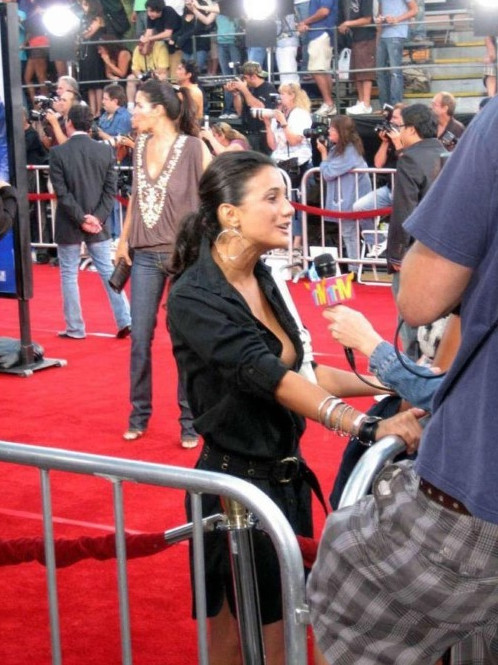Emmanuelle Chriqui Nipple Slips  nude photo