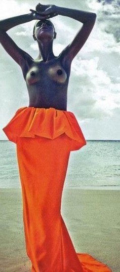 Erin Heatherton Nude Tits Sexy Topless  nude photo