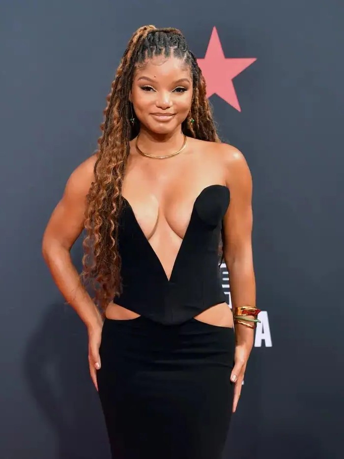 Halle Bailey  nude photo