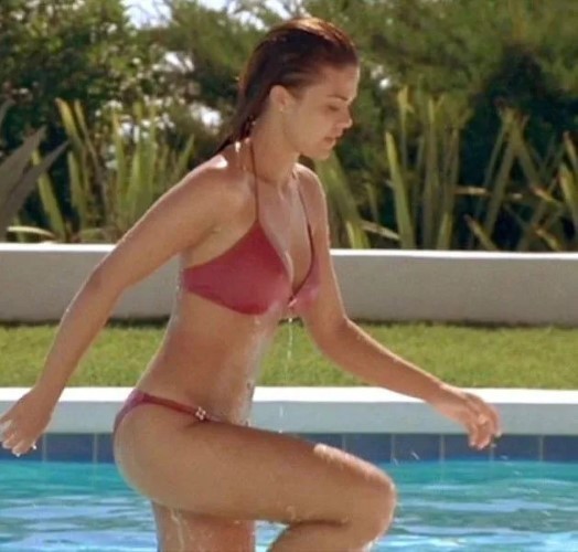 Hot Actress Susan Ward Sexy Bikini  nude photo