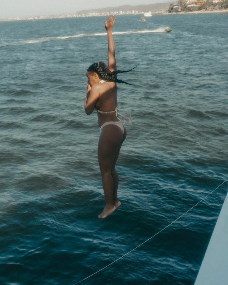 Janelle Monae Bikini Sexy  nude photo