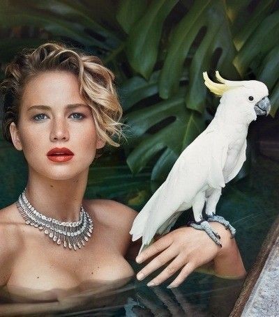 Jennifer Lawrence Poses Completely Nude Boobs Images  nude photo