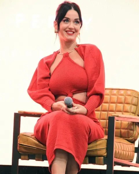Katy Perry  nude photo