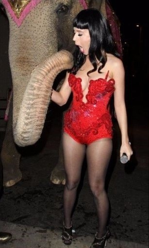 Katy Perry Elephant  nude photo