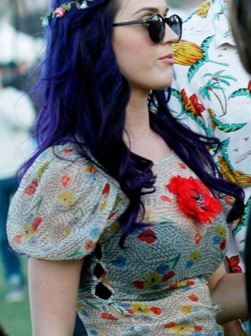 Katy Perry See Through  nude photo