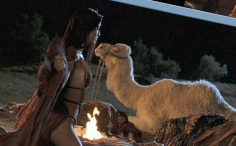 Kelly Hu Sex Naked Scene  nude photo