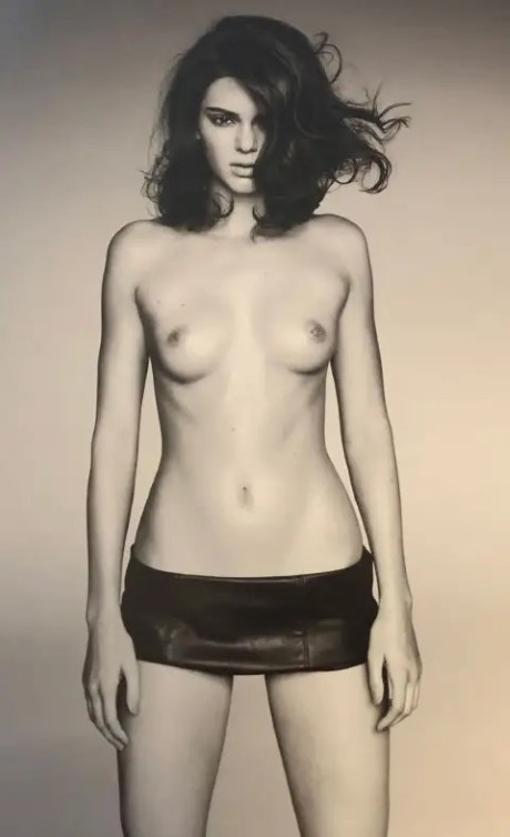 Kendall Jenner Has A Pierced Nipple  nude photo