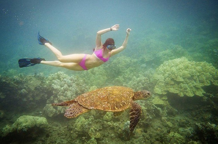 Kira Kosarin Turtle Encounter  nude photo