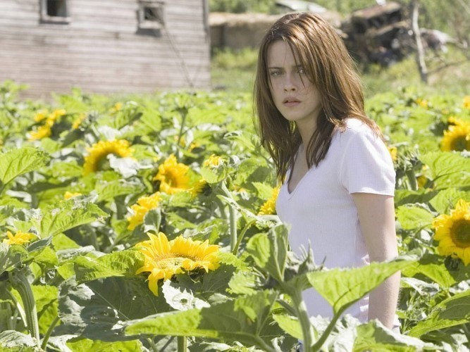 Kristen Stewart In Sunflower Garden  nude photo