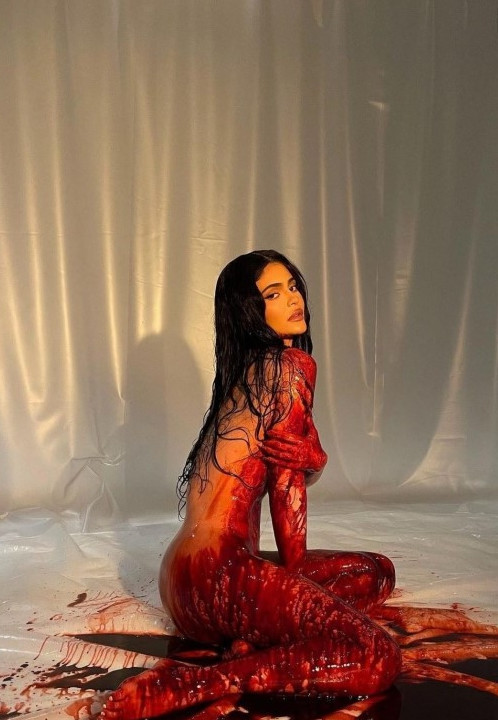 Kylie Jenner Poses Fully Nude  nude photo
