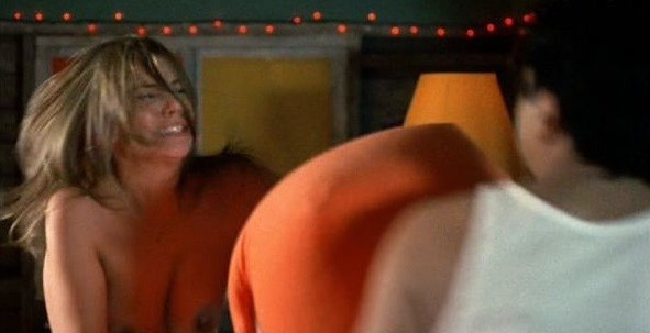 Lauren Cohan Naked Scene In Van Wilder  nude photo