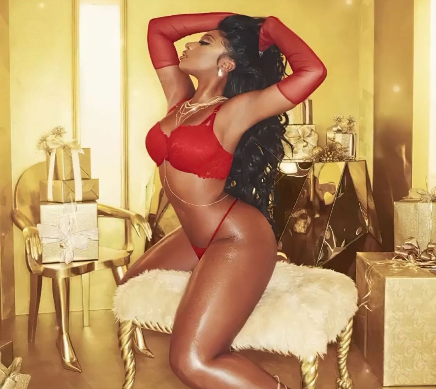 Megan Thee Stallion  nude photo