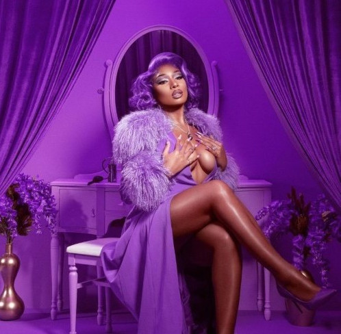 Megan Thee Stallion  nude photo