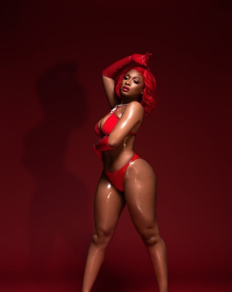 Megan Thee Stallion  nude photo