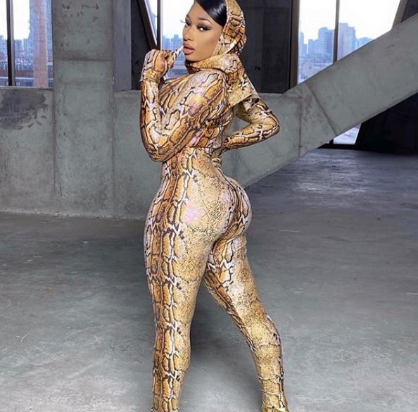 Megan Thee Stallion  nude photo