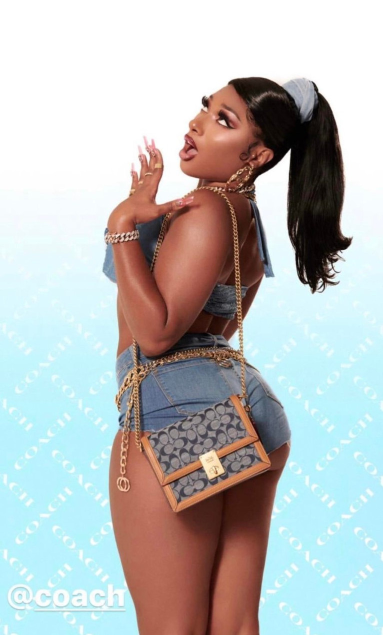 Megan Thee Stallion  nude photo