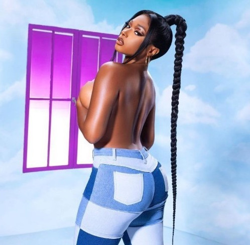 Megan Thee Stallion  nude photo