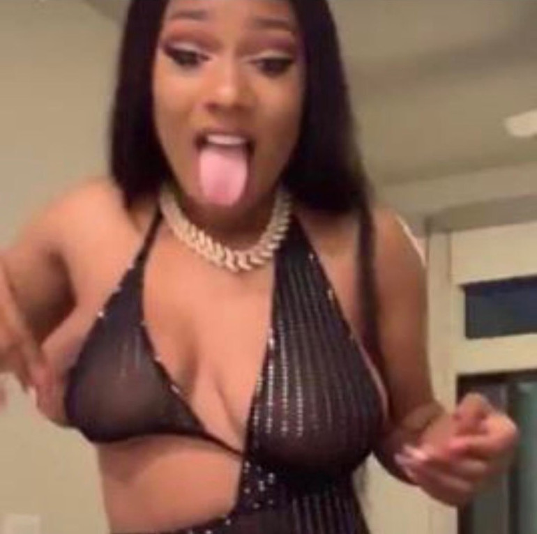 Megan Thee Stallion Nipslip Leaked  nude photo