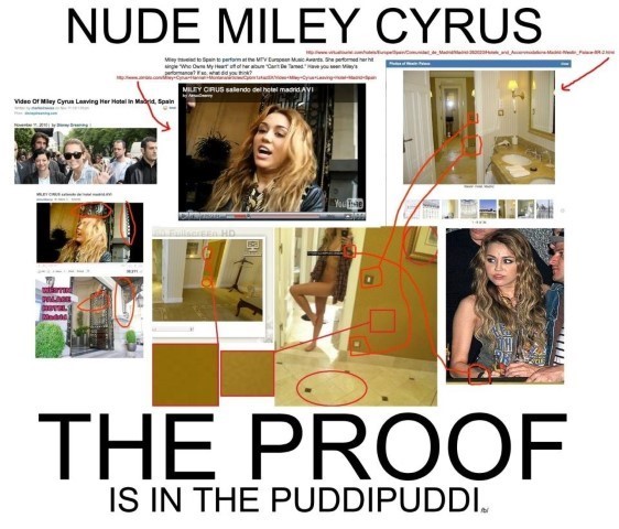 Miley Cyrus Leaked Cell Nudes  nude photo